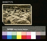 藏品(原住民黑白相片)的圖片